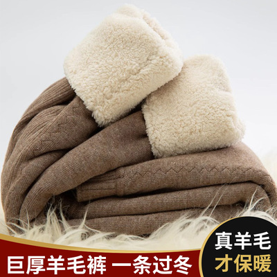 冬季男士棉裤加厚羊毛裤高腰中老年羊羔绒保暖裤加绒打底羊绒裤女