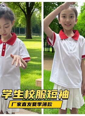 中小学生校服内搭白色t恤短袖夏季男生POLO衫班服打底衫女生上衣