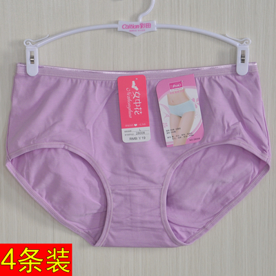 女中花女内裤包臀提臀棉质透气