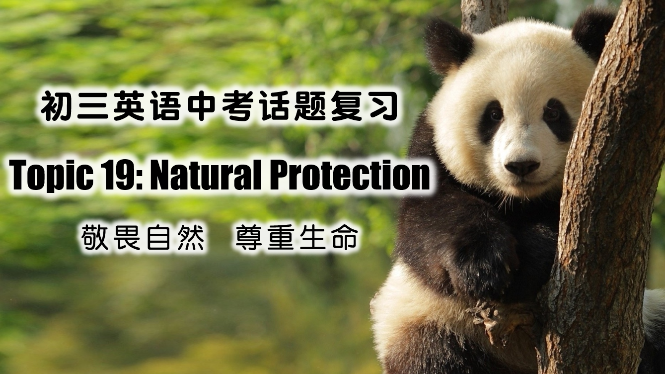 一颗紫苏吖中考话题复习课件 19 自然保护