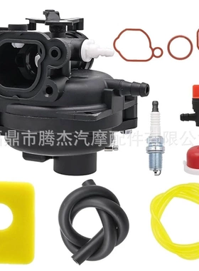 百利通Briggs & Stratton799583 590556 591979 595656化油器套装