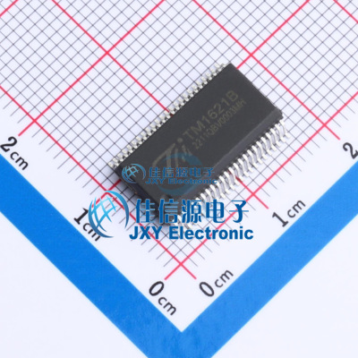 LCD驱动    TM1621B  TM(天微)  SSOP-48