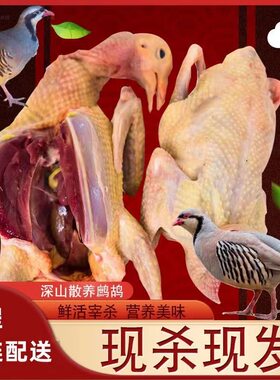 老鹧鸪活鸟农家散养当天现杀现发小飞龙鸟肉新鲜呱呱鸡嘎嘎鸡鸟肉