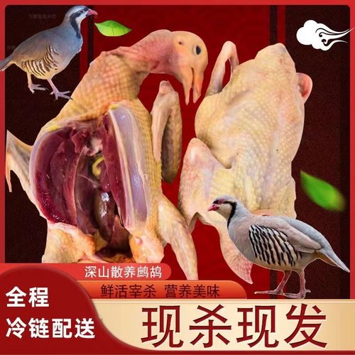 老鹧鸪活鸟农家散养当天现杀现发小飞龙鸟肉新鲜呱呱鸡嘎嘎鸡鸟肉