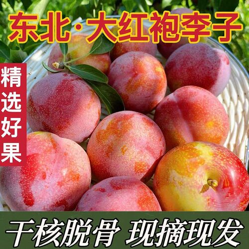 正宗大红袍李子新鲜甜脆黄心应季脱骨干核孕妇水果甘甜多汁大李子