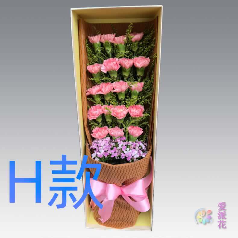 生日慰问纪念康乃馨陕西榆林订花店送花神木县府谷县同城鲜花快递 - 实物图