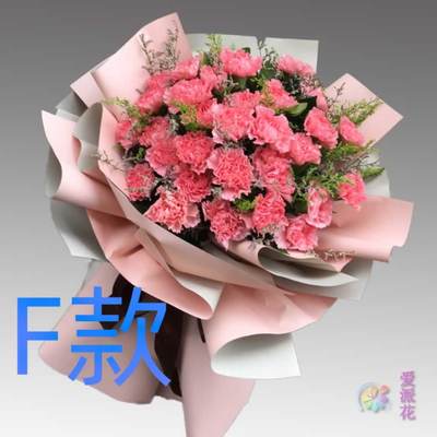 生日康乃馨内蒙古呼伦贝尔花店送花根河市额尔古纳海拉尔鲜花速递