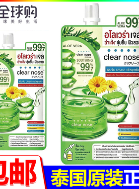 泰国原装进口clearnose菊花芦荟