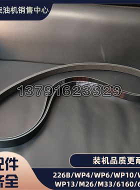 WP12潍柴RA425柴油机612630061045水泵皮带6PK1410发电机多楔带