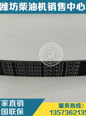 发电机多楔带6PK1453水泵张紧轮皮带1000709355潍柴WP12发动机P13