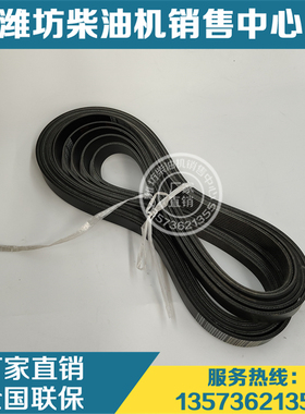 原装张紧轮皮带1002573246多楔带8PK1987潍柴WP3气体天然气发动机