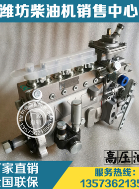 潍柴226B道依茨WP4柴油机WP6发动机30铲车13056020高压油泵喷油泵