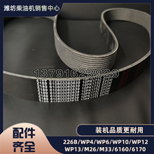 水泵皮带发电机WP7潍柴发动机610800060639涨紧轮多楔带10PK1732