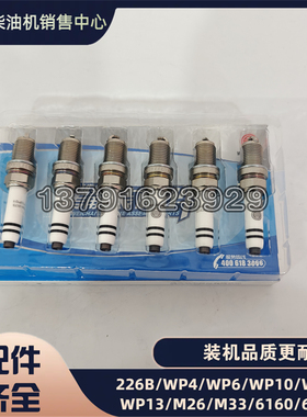 潍柴天然气LNG发动机CNG气体机国五国六1003373173双铱金火花塞