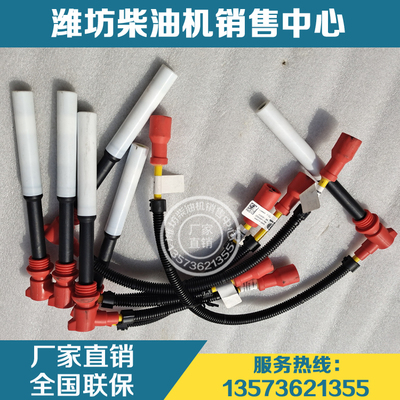 潍柴动力WP5 WP6 WP7 WP10 WP12天然气发动机高压线OH6缸线原厂件