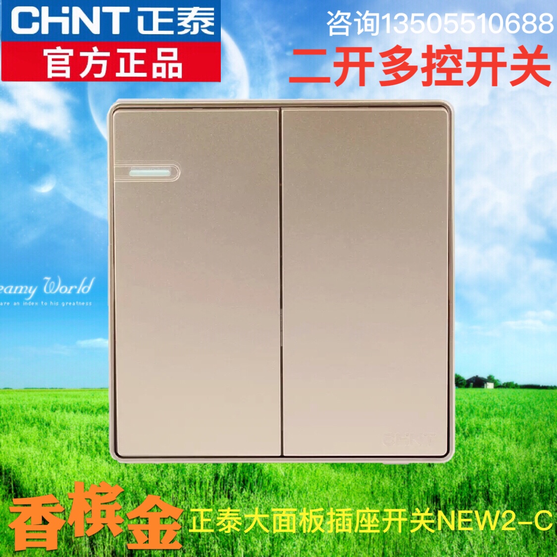 正泰电工 开关插座NEW2C 香槟金大面板16A钢架  二开多控开关面板