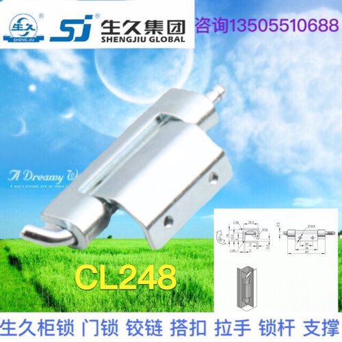 生久柜锁不锈钢铁铰链平板焊接式CL248铰链 弹簧插销转轴