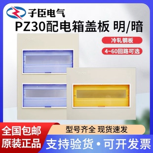 PZ30配电箱铁盖板面板家用电表箱空开照明盖板单双回路明暗盒盖子
