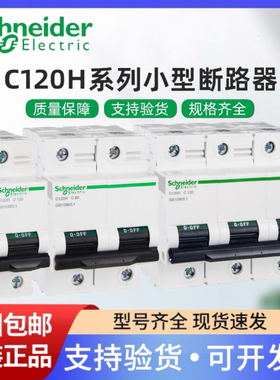 施耐德大电流C120H 2P/3P/4P 80A/100A/125A C/D型空气开关断路器