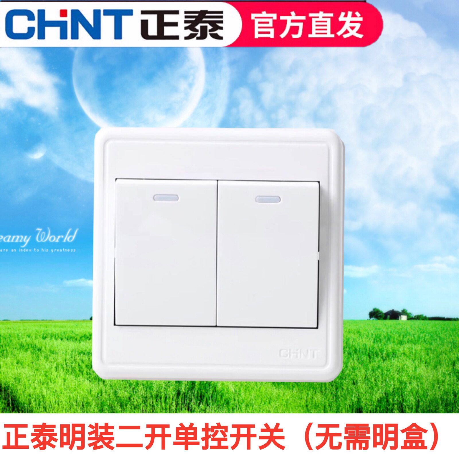 正泰开关插座 NEW1C 明装墙壁开关 二开单控开关面板 象牙白色2开