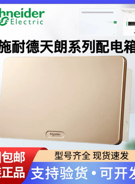 施耐德强电箱PZ30多媒体信息箱