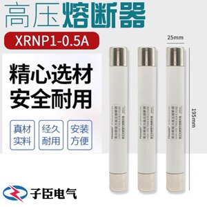 户内高压熔断器XPNP1-10KV0.5A1A2A3限流熔断管保护PT电压互感器