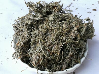 正宗绵茵陈500克包邮新鲜干货