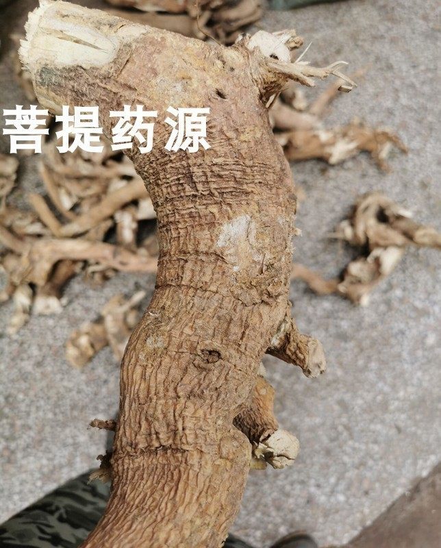 正宗黄花倒水莲中药材观音串老根头深山倒吊黄根煲汤黄花大远志片