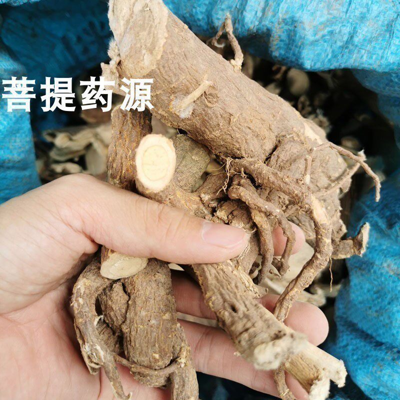 中药材了哥王根了歌王根头片图片