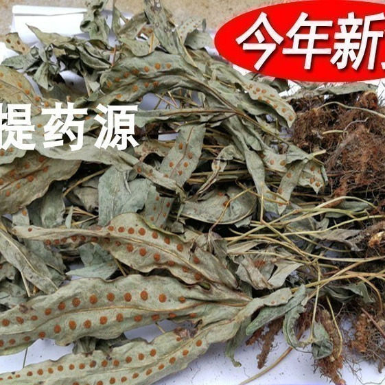 金鸡脚草药鸭脚草苗鹅掌金星草金鸡爪野生鸭脚草金鸡草七星草煲汤