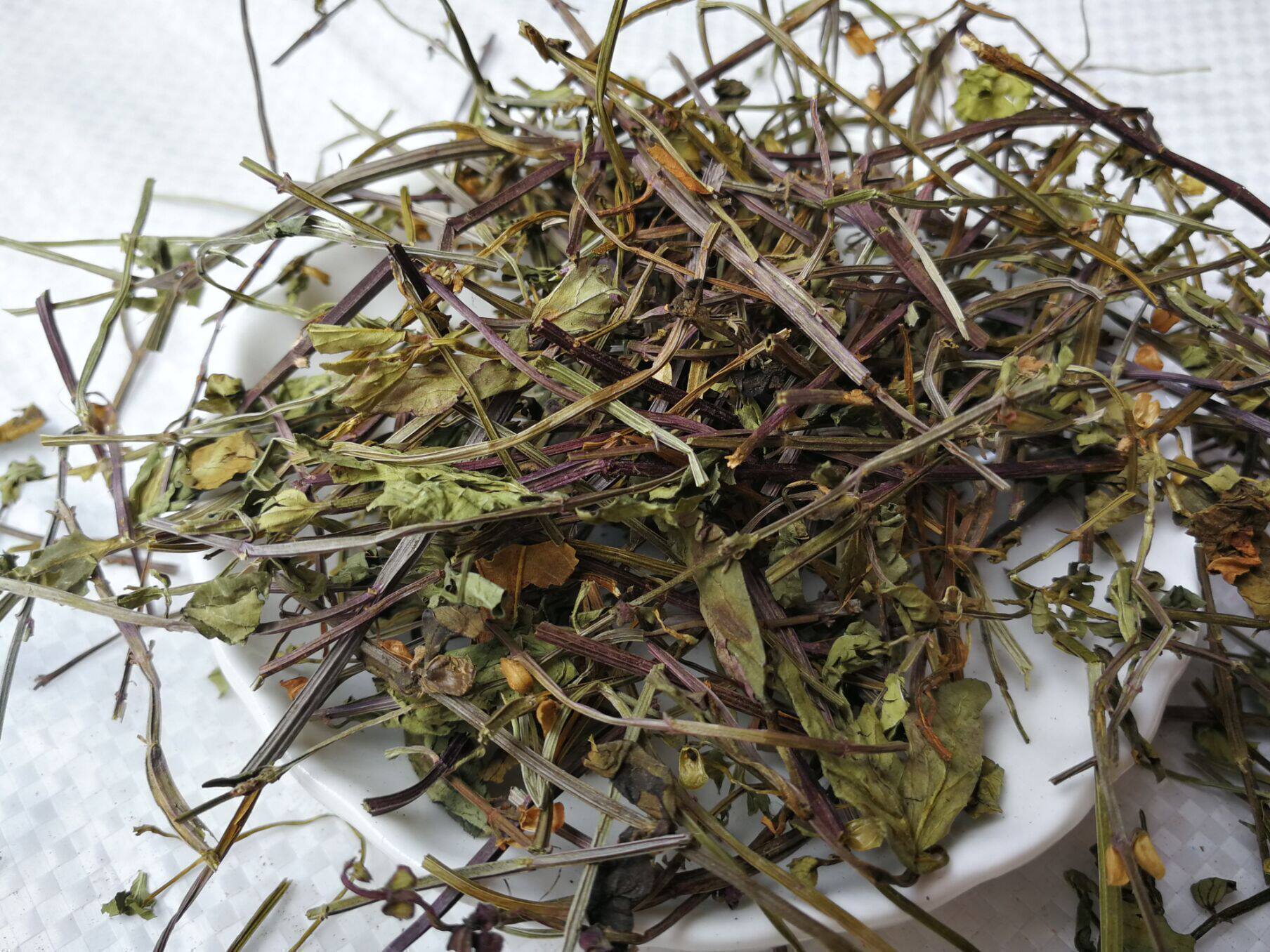 半枝莲中药材 半枝连 并头草 牙刷草500g包邮新货 另售白花蛇舌草