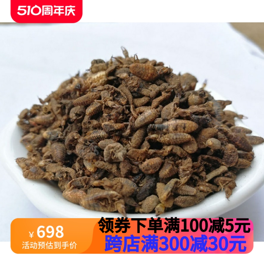 蚁狮金沙牛中药材地古牛金砂牛地牯牛中药睡虫新鲜干货100g克包邮 传统滋补营养品 传统滋补品其他 原图主图