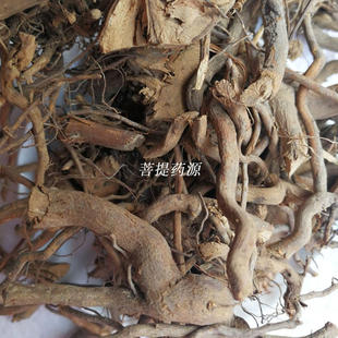 三月泡根中药材500克 中草药刺波 茅梅根头矛莓根红梅消根 蛇泡筋
