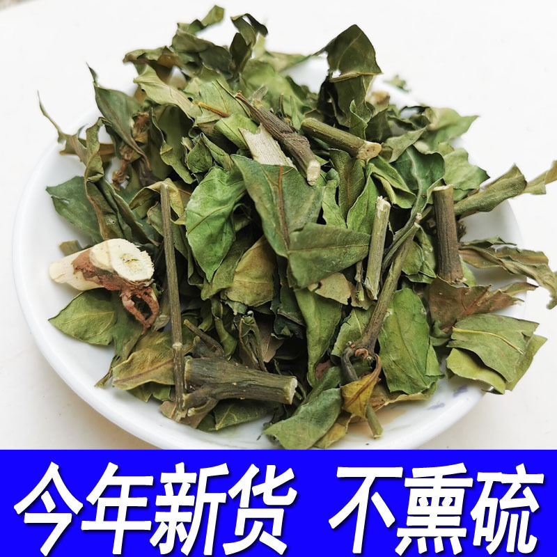 小驳骨草中草药广西小接骨驳骨丹