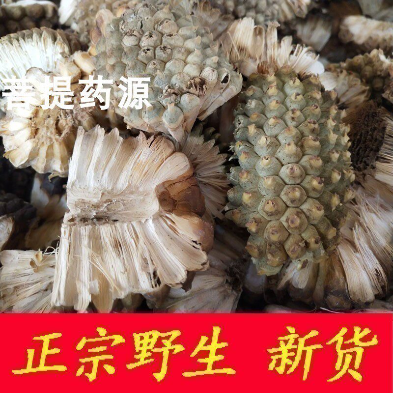 假菠萝中药材野菠萝500克 簕菠萝露兜树籽簕古子簕角籽山菠萝波罗