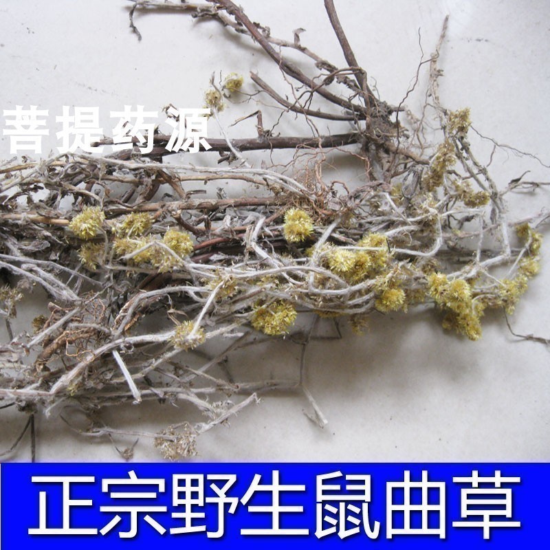 鼠曲草新鲜干货中草药清明菜佛耳草鼠粬鼠菊草清明蒿粿 500克