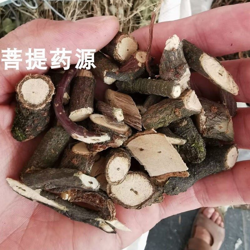 广西野生黑骨藤中药材黑骨头滕黑龙骨青香藤铁散沙腾铁骨头长寿藤