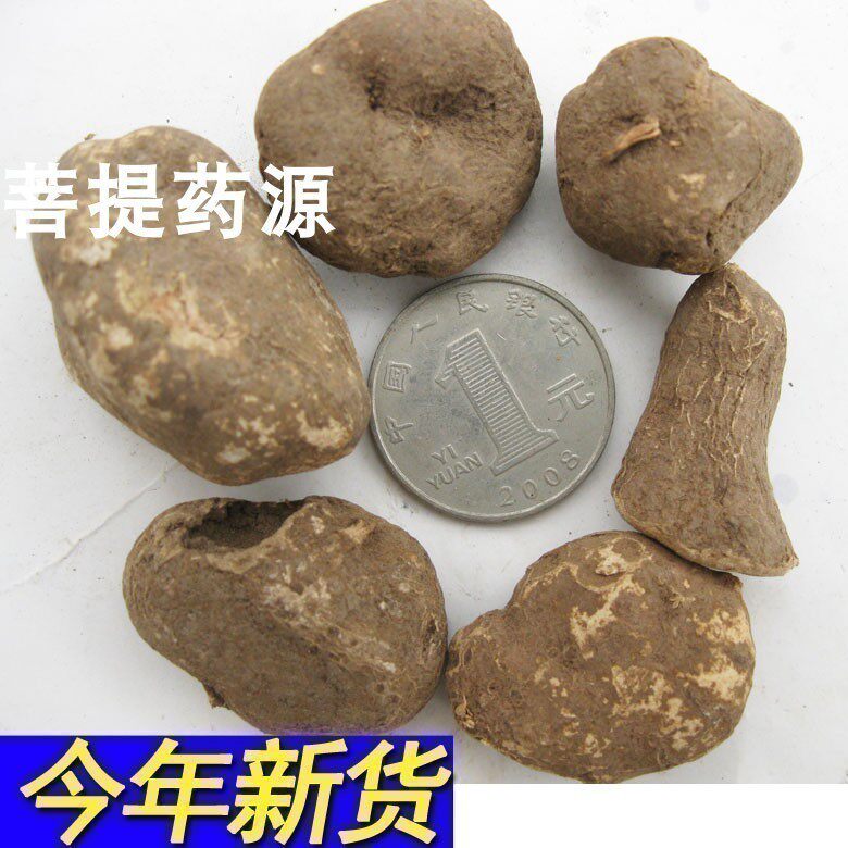 三叶青石猴子金线吊葫芦新鲜干货