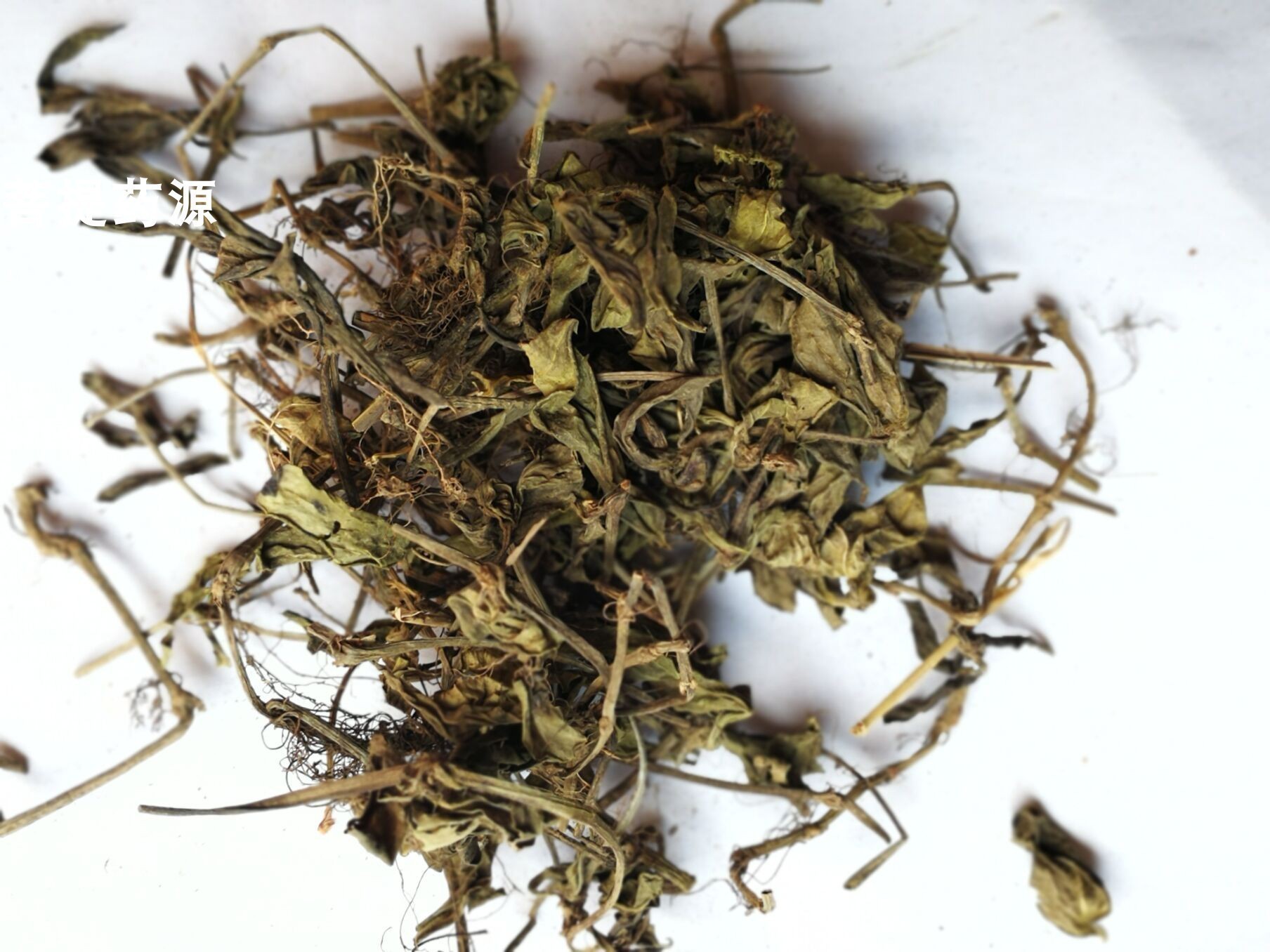黄毛儿草500克中药材 黄毛耳草 耳朵红老虎草过路蜈蚣 金毛耳草
