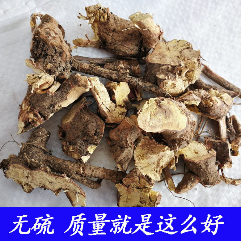 掌牛奴根中药材乌骨掌牛郎跟头午时合排钱树根毛排钱草根 可磨粉