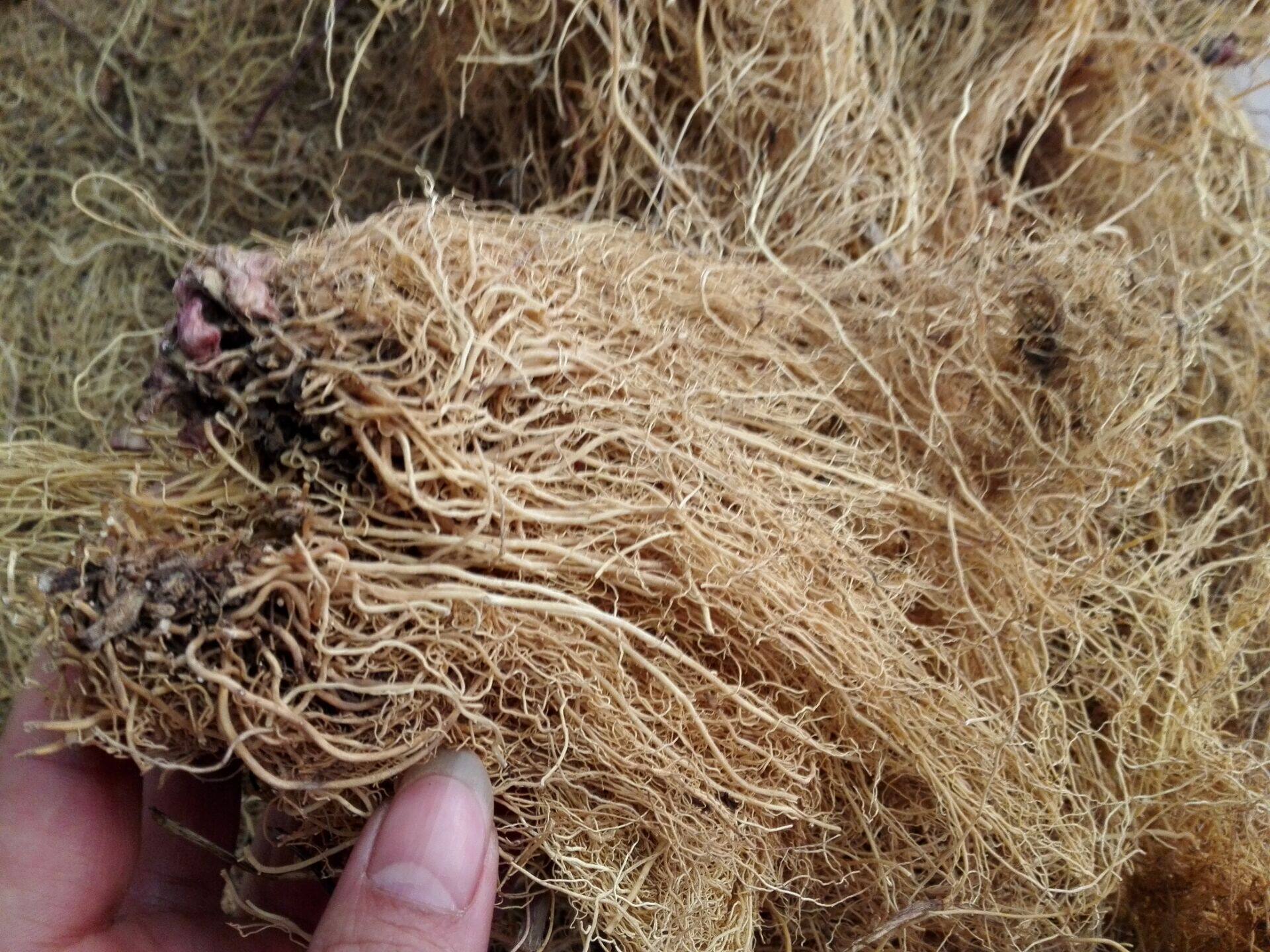 水洗辽细辛根中药材500克