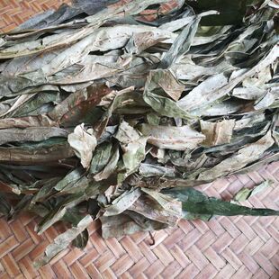 正宗中药材七星阙七星剑  瓦韦七叶星 江南星蕨 小叶骨牌草丹瓦剑