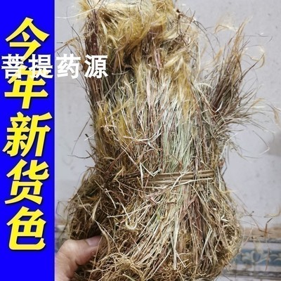 金丝草中药材猫毛草笔仔草竹篙草