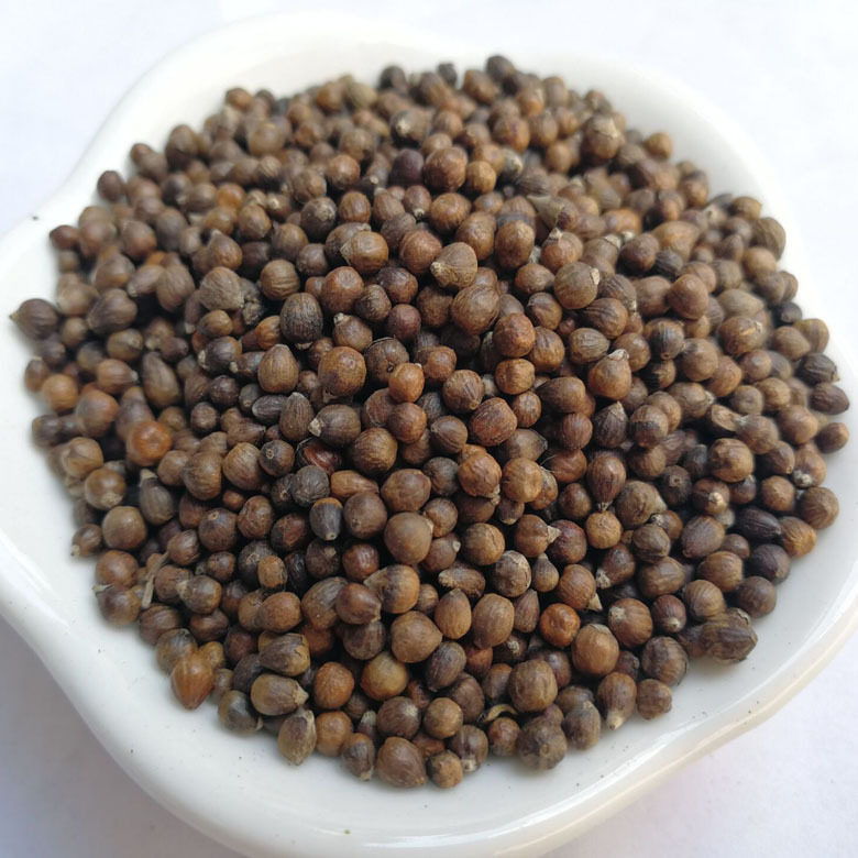 蔓荆子中药黄金子黄荆条牡荆子布荆子五指柑土常山散装500g克包邮
