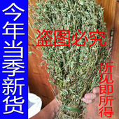 广西野生人字草中草药三叶人字草新鲜干货苍蝇翅掐不齐另售穿破石