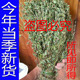 广西野生人字草中草药三叶人字草新鲜干货苍蝇翅掐不齐另售穿破石