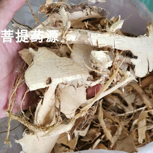 正宗金桔根金橘根中药材金桔子根东风桔根东风橘根山金桔树根头