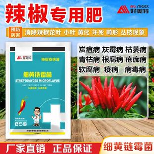 细黄链霉菌农用辣椒疫病清快速治枯萎黄叶根腐软腐病毒微生物肥料