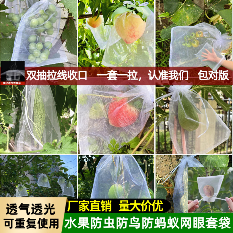 防鸟虫尼龙水果套袋草莓葡萄番茄