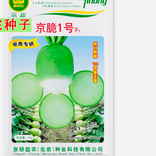 京脆1号立秋萝卜种 脆甜口感好 根茎萝卜种子 北京京研蔬菜籽10g